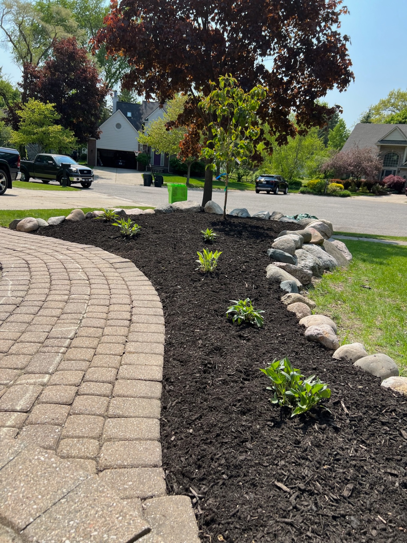 Fresh black mulch, new plantings, and a natural stone border beside a curved paver walkway.